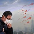 空汙傷心傷肺，還可能影響「精蟲」品質？