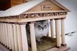 超強貓奴！為自家貓咪打造帕德嫩神廟當貓窩！網友：跪著看完……