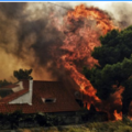 熱浪來襲希臘野火肆虐 74死170傷