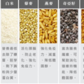 五種超級穀物大評比，營養在哪裡【好吃鑑定團】