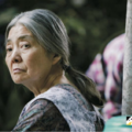 《小偷》奶奶辭世 坎城金獎作品《小偷家族》中飾演「奶奶」的日本名演員樹木希林