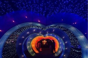 阿里山三大燈區，體驗羅曼蒂克的浪漫氛圍！