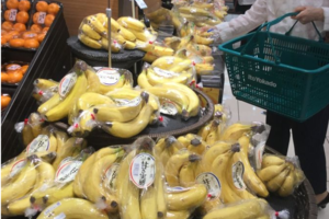 劉黎兒觀點》台灣香蕉在日本為什麼不賣？