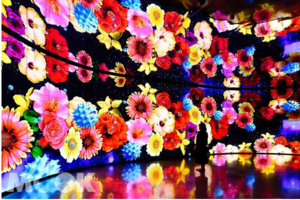 「世界花卉博覽會」全台最大556吋顯示器大牆必拍 友達微美館台中花博搶先看