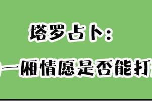 朵朵塔羅占卜|你的一廂情願能打動他嗎?太准了!