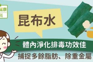 昆布水：體內淨化排毒功效佳！捕捉多餘脂肪、除重金屬