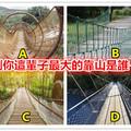 选一座最结实的吊桥，测你这辈子最大的靠山是谁？ 