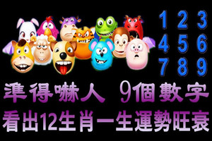 9個生日數字，看自己12生肖一生運勢旺衰！ 