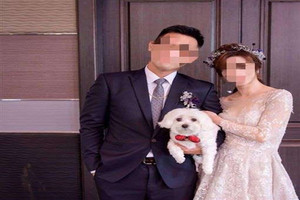 國3連環撞中士喪命 新婚孕妻哭斷腸 