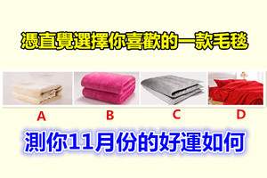 凭直觉选择你喜欢的一款毛毯，测你11月份的好运如何 