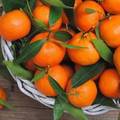 什麼樣的橘子不能吃？很多人已經中招，趕緊告訴家人小心吃！