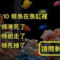 「原本有10條魚，2條淹死，4條遊走，3條死掉」到底最後剩幾條？這個小學生的題目，竟然沒人答得出！