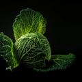 「高麗菜」竟然也能拿來「熱敷冷敷」？這個土法治療對關節發炎、疼痛非常有效！