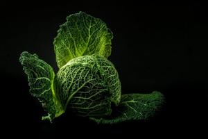 「高麗菜」竟然也能拿來「熱敷冷敷」？這個土法治療對關節發炎、疼痛非常有效！