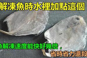 解凍魚時水裡加點「這個」，凍魚解凍速度能快好幾倍，省時省力還殺菌！