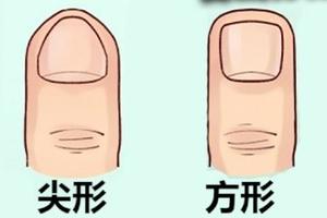真的準！ 從指甲形狀看你的性格命運，你與圖中哪一種最相符？