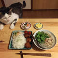 《餐桌上的貓》聞到食物就靠過來～是吃貨屬性啊