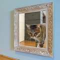《走出畫框的貓》比視覺陷阱藝術更能欺騙你的雙眼(((^艸^)))