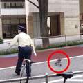 超暖心《日本警衛幫助鴨鴨母子過馬路》網友大讚東京也是很有人情味的嘛w