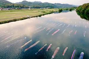 《水中鯉魚旗》日本兒童節高掛鯉魚旗習俗原來還有超美水中版本❤