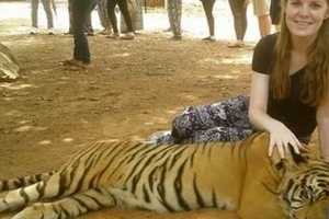 正妹泰國之旅和成年老虎合照！下一秒竟發生血腥悲劇！讓在場所有遊客全嚇壞了！最後她的下場竟是...！真是太恐怖了！
