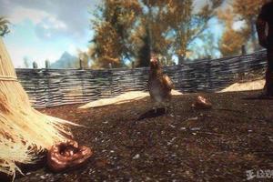 【你被遊戲坑過嗎？】87%玩家會因為手賤殺了一隻雞，反遭全村NPC追殺。