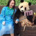這隻熊貓擁有超強自拍技術！和萌妹紙合照「托腮看鏡頭俏模樣」美到讓網友都愛上～
