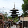 正確的【日本神社參拜４步驟】，原來去觀光的時候都拜錯了...