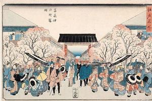 日本文化中，櫻花為什麼如此重要？