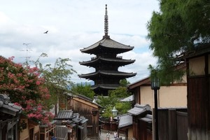 正確的【日本神社參拜４步驟】，原來去觀光的時候都拜錯了...