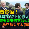 特朗普妙语！美媒曝其在G7上的惊人言论！特朗普要让安倍下台太容易！要让马克龙头疼太简单！