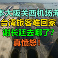日本大阪关西机场淹水，台湾旅客难回家，谢长廷去哪了？