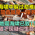 印尼地震海啸已致1558死 废墟下现疑似生命迹象，印尼海啸中躲过劫难的华人：“这简直就是一座死城”