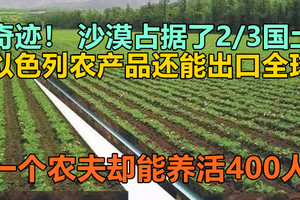 奇迹！沙漠占据了2/3国土，一个农夫却能养活400人，以色列农产品还能出口全球