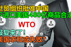 报复来了！世贸组织批准中国，不进口美国480亿商品合法！美国求和或失败？