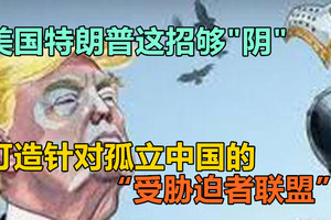 美国特朗普这招够"阴"，打造针对孤立中国的“受胁迫者联盟”