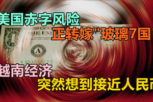 美国赤字风险或正转嫁“玻璃7国”，越南经济突然想到接近人民币