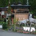 [日本/靜岡] 美人の湯寸又峡温泉 翡翠水晶上夢吊橋 