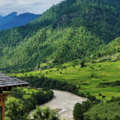 釋放壓力沉溺山谷滿綠意，遠離城市喧囂的不丹烏瑪普納卡酒店
