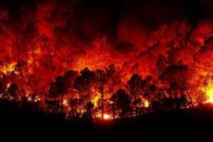 地球發燒了！熱浪來襲歐洲飆40度 三個原因造成地球抗暖化失敗