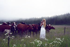 北歐的「白雪公主」對著草原隨意哼唱，牛群都被她「空靈優美」的嗓音所著迷！