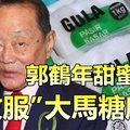 【大馬】郭鶴年甜蜜復仇，「收服」大馬糖廠 ?