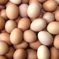 雞蛋買多了，別再放冰箱了，教你一招，這樣保存雞蛋多久也不壞，能保存更長時間！