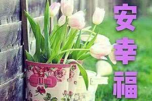 每天這樣鞠躬一分鐘，燃燒內臟脂肪消下腹贅肉