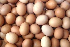 雞蛋買多了，別再放冰箱了，教你一招，這樣保存雞蛋多久也不壞，能保存更長時間！