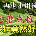 把它磨成粉，不僅降血壓、護肝，而且以後再也不用洗腎了，就連糖尿病也不見了！