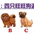 心理测试：4只狗选一只，测狗年你哪方面能喜上加喜！