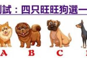 心理测试：4只狗选一只，测狗年你哪方面能喜上加喜！