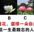 心理學：你最愛哪一朵蓮花？測你這今生最難忘的人是誰！