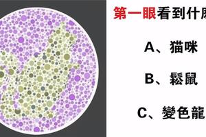 心理測試：第一眼看到什麼動物，就可以測出你的性格和命格！